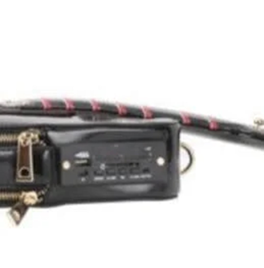 Guitar Handbag & Bluetooth Speaker