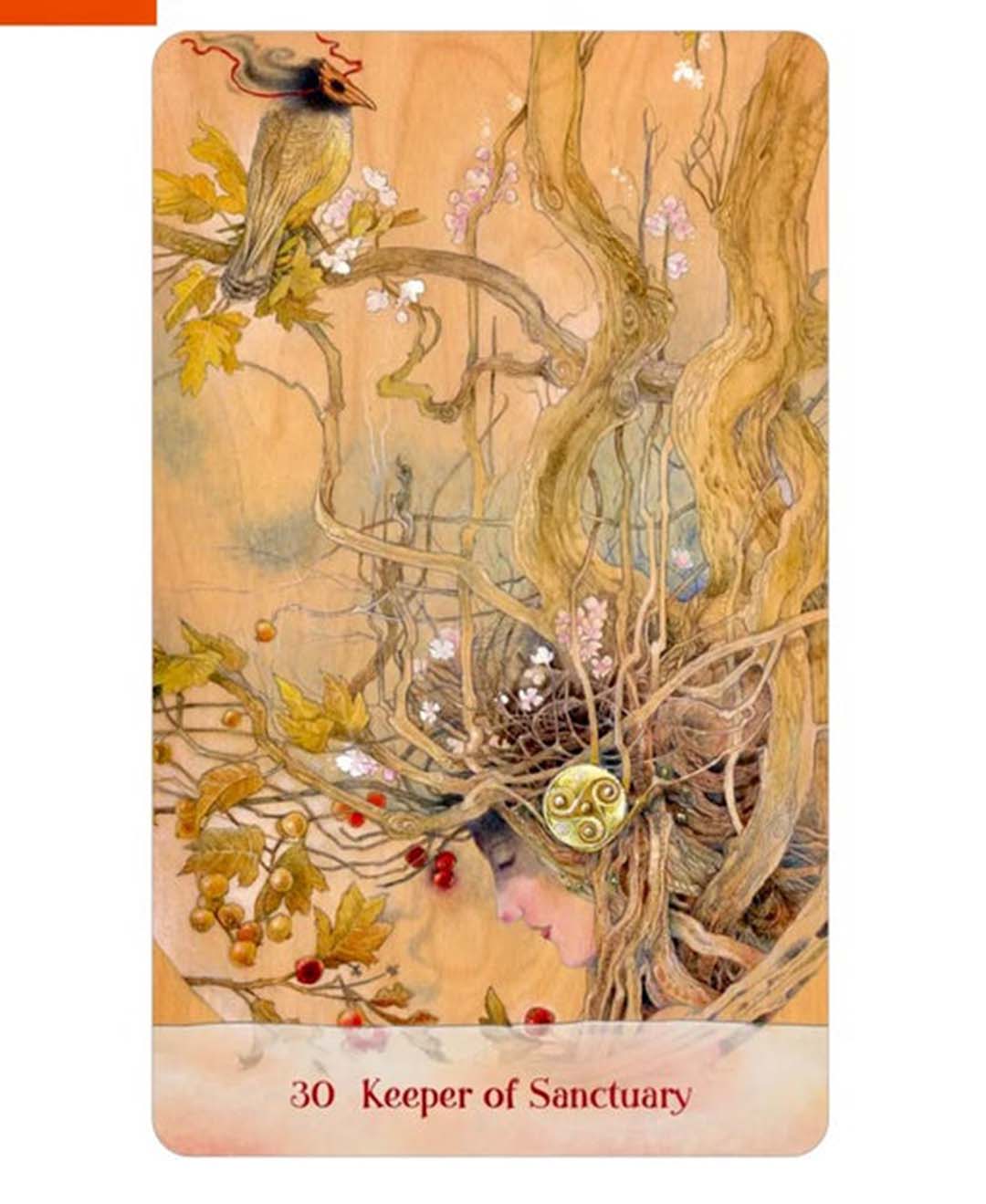 Tree Keepers Oracle Card Deck